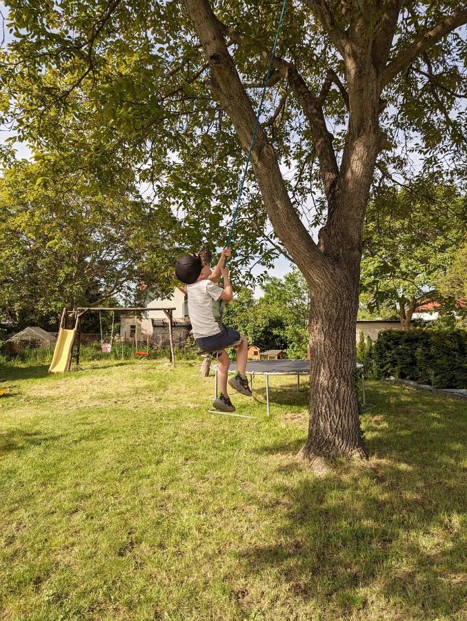 Ferienhaus Lausitz Lauta Eksteriør bilde